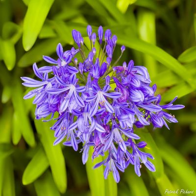 IMG_4391_vignettes.jpg