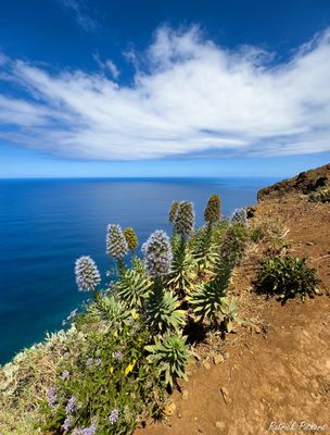 IMG_4673_vignettes.jpg