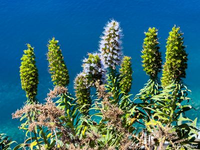 IMG_4695_vignettes.jpg