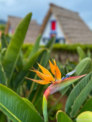 IMG_4878_vignettes.jpg