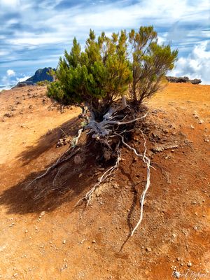 IMG_5042_vignettes.jpg