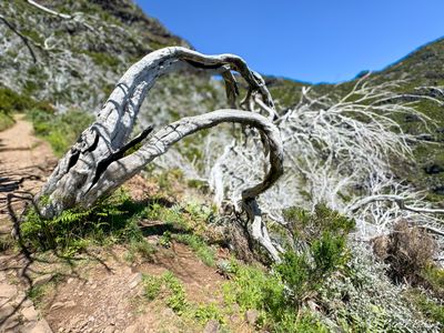 IMG_5166_vignettes.jpg