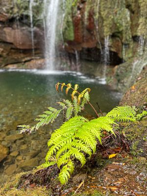 IMG_4484_vignettes.jpg