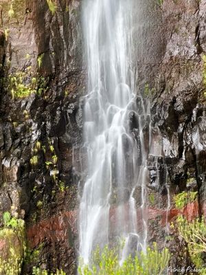 IMG_4492_vignettes.jpg