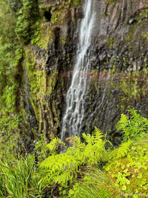 IMG_4494_vignettes.jpg