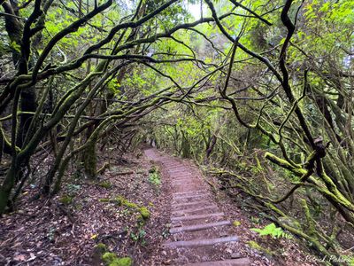 IMG_4505_vignettes.jpg