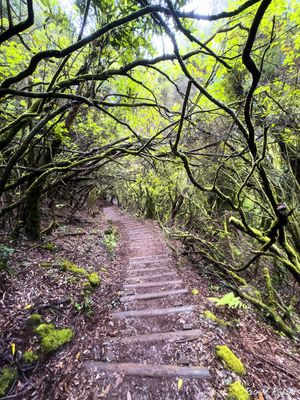 IMG_4506_vignettes.jpg