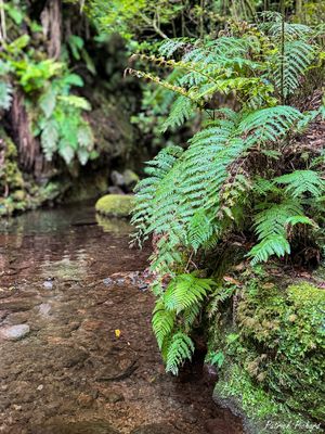 IMG_4812_vignettes.jpg