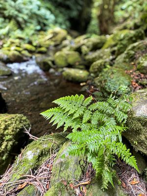 IMG_4848_vignettes-3.jpg