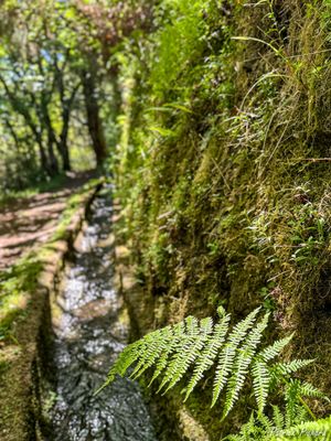 IMG_5287_vignettes.jpg