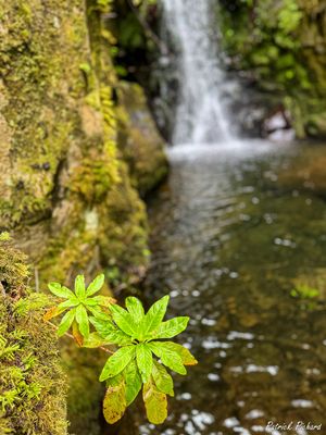 IMG_E4453_vignettes.jpg