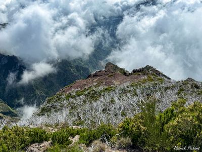IMG_4977_vignettes.jpg