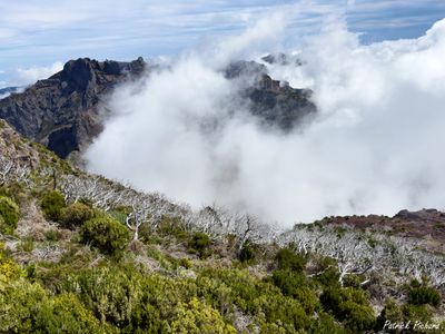 IMG_5057_vignettes.jpg