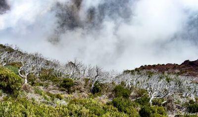 IMG_5061_vignettes.jpg