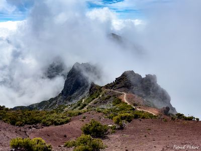IMG_5062_vignettes.jpg