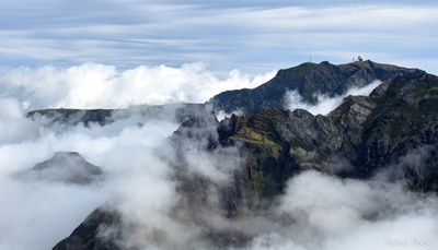 IMG_5082-2_vignettes.jpg