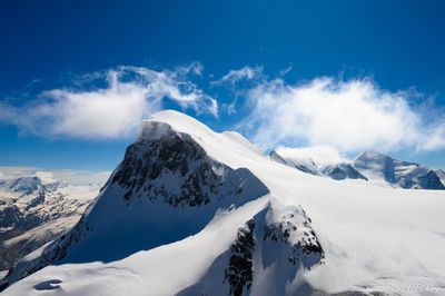 _DSC4293_vignettes.jpg