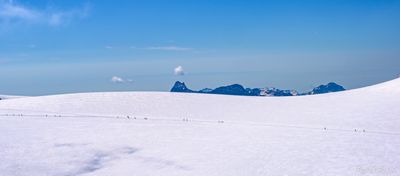 _DSC4299_vignettes.jpg