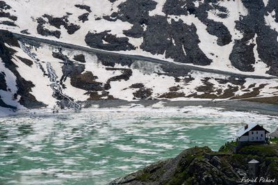 _DSC4371_vignettes.jpg