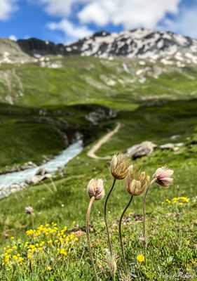 IMG_6712_vignettes.jpg