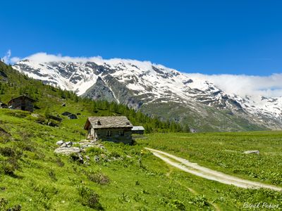 IMG_6768_vignettes.jpg