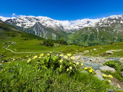 IMG_6774_vignettes.jpg