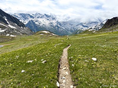 IMG_6816_vignettes.jpg