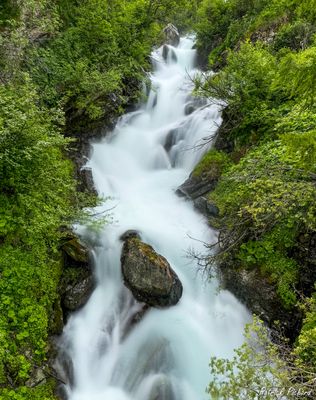 IMG_6820-Modifier_vignettes.jpg