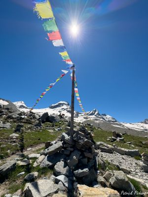 IMG_6887_vignettes.jpg