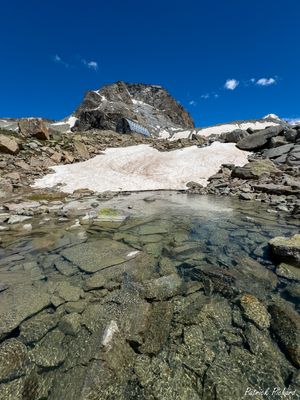 IMG_6961_vignettes.jpg