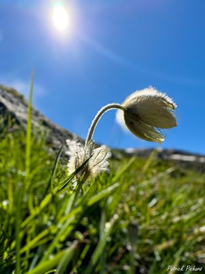 IMG_7059_vignettes.jpg