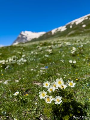 IMG_7085_vignettes.jpg