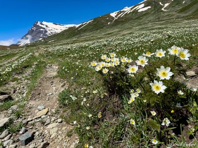 IMG_7105_vignettes.jpg