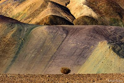 _DSC0517_vignettes.jpg