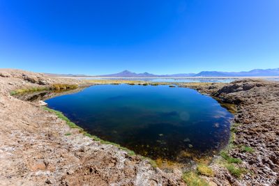 _DSC0649_vignettes.jpg