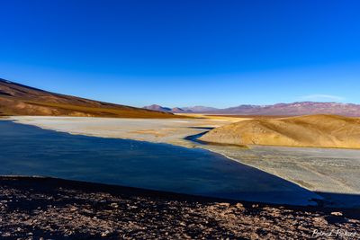 _DSC0900_vignettes.jpg