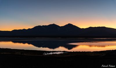 _DSC0944_vignettes.jpg