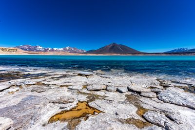 _DSC1187_vignettes.jpg