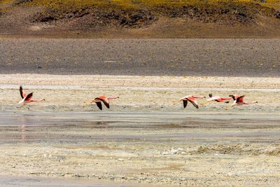 _DSC1282_vignettes.jpg