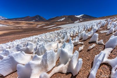 _DSC1445_vignettes.jpg