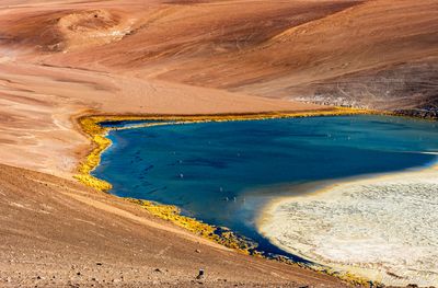 _DSC1496_vignettes.jpg