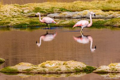 _DSC1578_vignettes.jpg