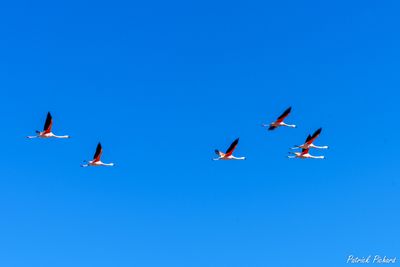 _DSC1600_vignettes.jpg
