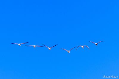 _DSC1607_vignettes.jpg