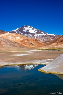 _DSC1686_vignettes.jpg