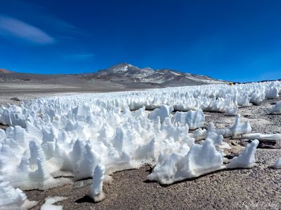 IMG_0309_vignettes.jpg