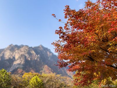 Parc de Seoraksan