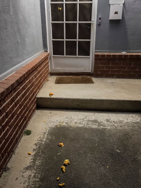1/7/2024 Oranges thrown at my front door