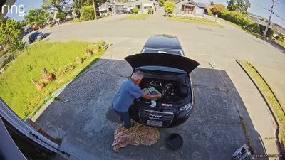 Adding 5 Liters of Liqu Moly 5W-40 Molygen engine oil