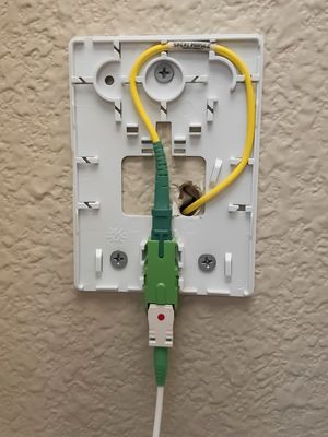 Fiber Optic ONT Connection Point